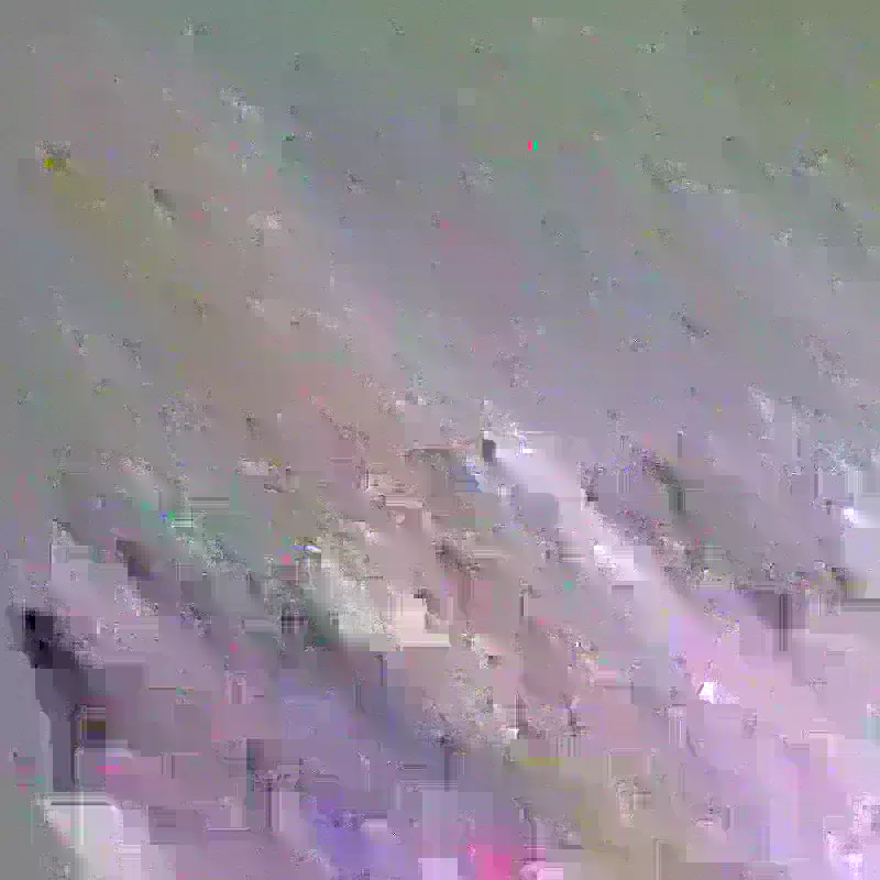 El Naturalista Arbequina N5893 slika 1